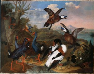 Bergeenden en andere Vogels in een Landschap, 1720