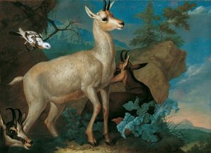  door Ferdinand Phillip de Hamilton