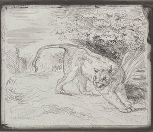 Een gevangen tijger, 1854 door Ferdinand Victor Eugene Delacroix
