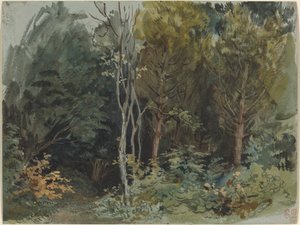 De rand van een bos bij Nohant door Ferdinand Victor Eugene Delacroix