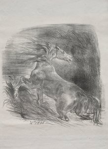 Het wilde paard, of geschrokken paard dat het water verlaat, 1828 door Ferdinand Victor Eugene Delacroix