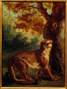 De poema ook wel leeuwin op de uitkijk voor een prooi door Ferdinand Victor Eugene Delacroix