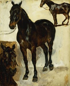 Drie studies van paarden, c.1823 door Ferdinand Victor Eugene Delacroix