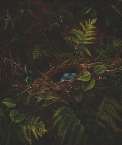 Vogelnest en varens, 1863