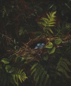 Vogelnest en Varens, 1863