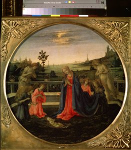 De aanbidding van het Christuskind door Filippino Lippi