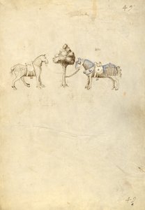 Twee paarden door Fiore Furlan dei Liberi da Premariacco