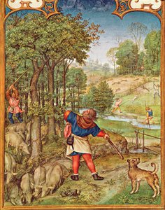 Fol.11v De Maand November: Eikels oogsten voor de varkens en jagen, uit het Breviarium Grimani, c.1515