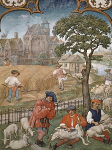 Fol.7v De maand juli: Oogst en schapenscheren, uit het Breviarium Grimani, c.1515 door Flemish School