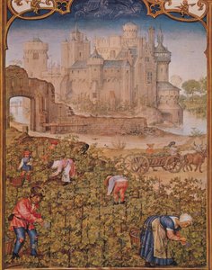 Fol.9v De maand september: De wijnoogst, uit Breviarium Grimani, ca. 1515 door Flemish School