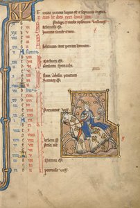 MS 14 f.5, Mei: Valkenjacht, ca. 1250