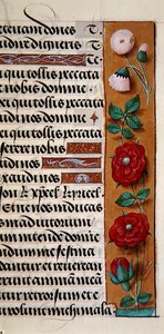 Ms. 1058-1975, f.120r: detail van een bloemenrand uit een Getijdenboek door Flemish School