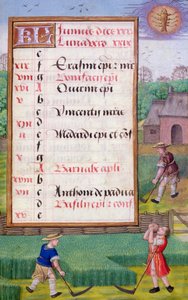 Ms 1058-1975 f6r Gras maaien, verlichte kalenderpagina voor juni, uit een Getijdenboek, ca.1500 door Flemish School