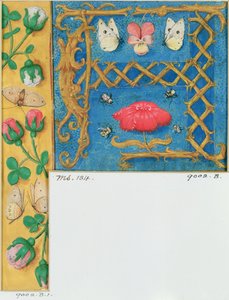 Verlichte letter `A en zijrand van bloemen, uit een Getijdenboek, ca. 1500 door Flemish School