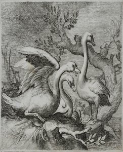 Oude Meester Gravure