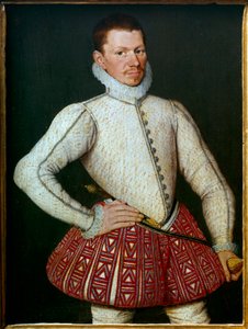 Portret van een heer door Flemish School