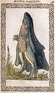 De Zeebisschop of zeemonster, illustratie uit Omnium fere gentium nostraeque aetatis Nationum Habitus et Effigies door Jean Sluperji, Antwerpen, 1572 door Flemish School