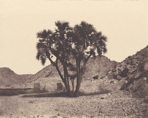 Egypte en Nubië. Sites en Monumenten...Atlas Fotograaf...Tweede Deel. Nubië door Félix Teynard