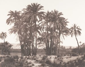 Karnak, groep dadelpalmen gezien vanaf punt A, 1851-52, gedrukt 1853-54
