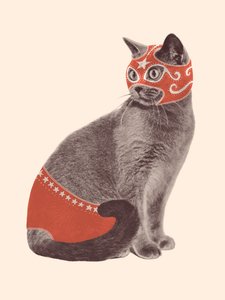 Kattenworstelaar