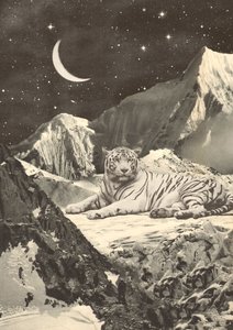 Gigantische witte tijger in bergen