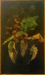 Anemonen en bladeren door Floris Verster