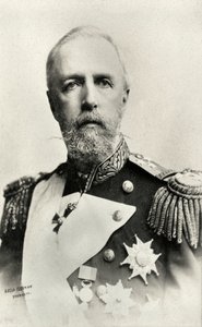 Portret van Oscar II , koning van Zweden en Noorwegen (foto) door Florman Gosla