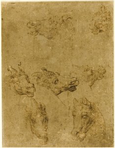 Hoofden van paarden en eenhoorns door Follower of Leonardo da Vinci