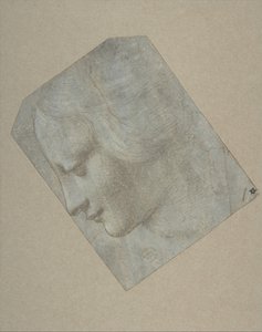 Het hoofd van een vrouw in profiel naar links, 1490-1500 door Follower of Leonardo da Vinci.