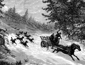 De angst voor de wolf: Een roedel wolven achtervolgt een kar met drie mensen, getrokken door een paard dat wegrent in de sneeuw, in een bos in de Ardennen - gravure door Meaulle in “Het Illustere Universum” Nr. 918, januari 1872 -