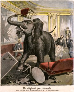 Een ongemakkelijke olifant: de pachyderm ontsnapt uit een circusmenagerie en breekt alles in het café van Pre-Catelan in Toulouse. Gravure door Meaulle en Meyer door Fortune Louis and Meyer Henri  Meaulle