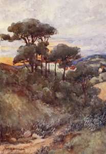 Steeneiken, Algiers door Frances Nesbitt