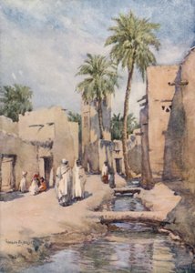 De oase van Biskra, Algerije