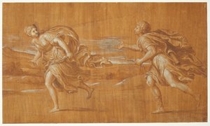 Apollon verfolgt Daphne door Francesco Albani