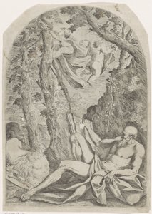 De heilige Hieronymus