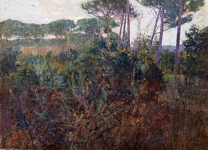 Pijnboombossen in Torre del Lago door Francesco Fanelli