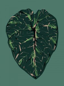  door Francesco Gulina