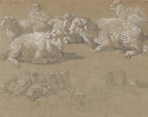 Liggende Schapen in een Landschap