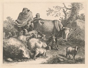 Herder met een Cape die een Kudde Drijft