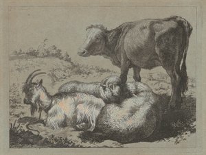 Staande os, twee schapen en een geit door Francesco Londonio