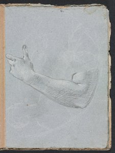 Verona schetsboek: Linkerarm en hand pagina 47 door Francesco Lorenzi