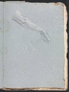 Verona schetsboek: Rechterarm en hand pagina 95 door Francesco Lorenzi