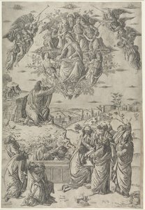 De tenhemelopneming van de Maagd