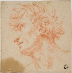 Profiel van mannelijk hoofd, gekroond met laurierbladeren