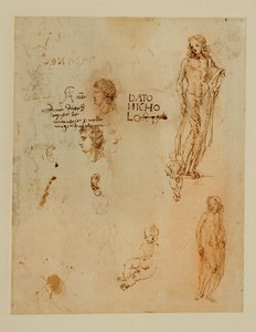 Drie profielen;oren;twee Apollos ... door Francesco di Simone (attr. to)
