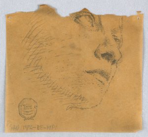 Gedeeltelijke Schets van een Gezicht door Francis Augustus Lathrop