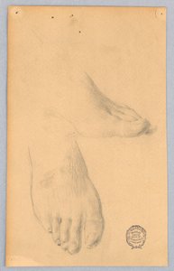 Studie van Voeten