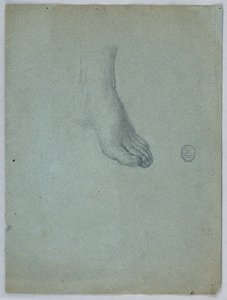 Studie van linkervoet