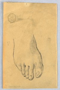 Studie van rechtervoet