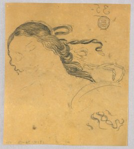 Studie van Vrouwenhaar